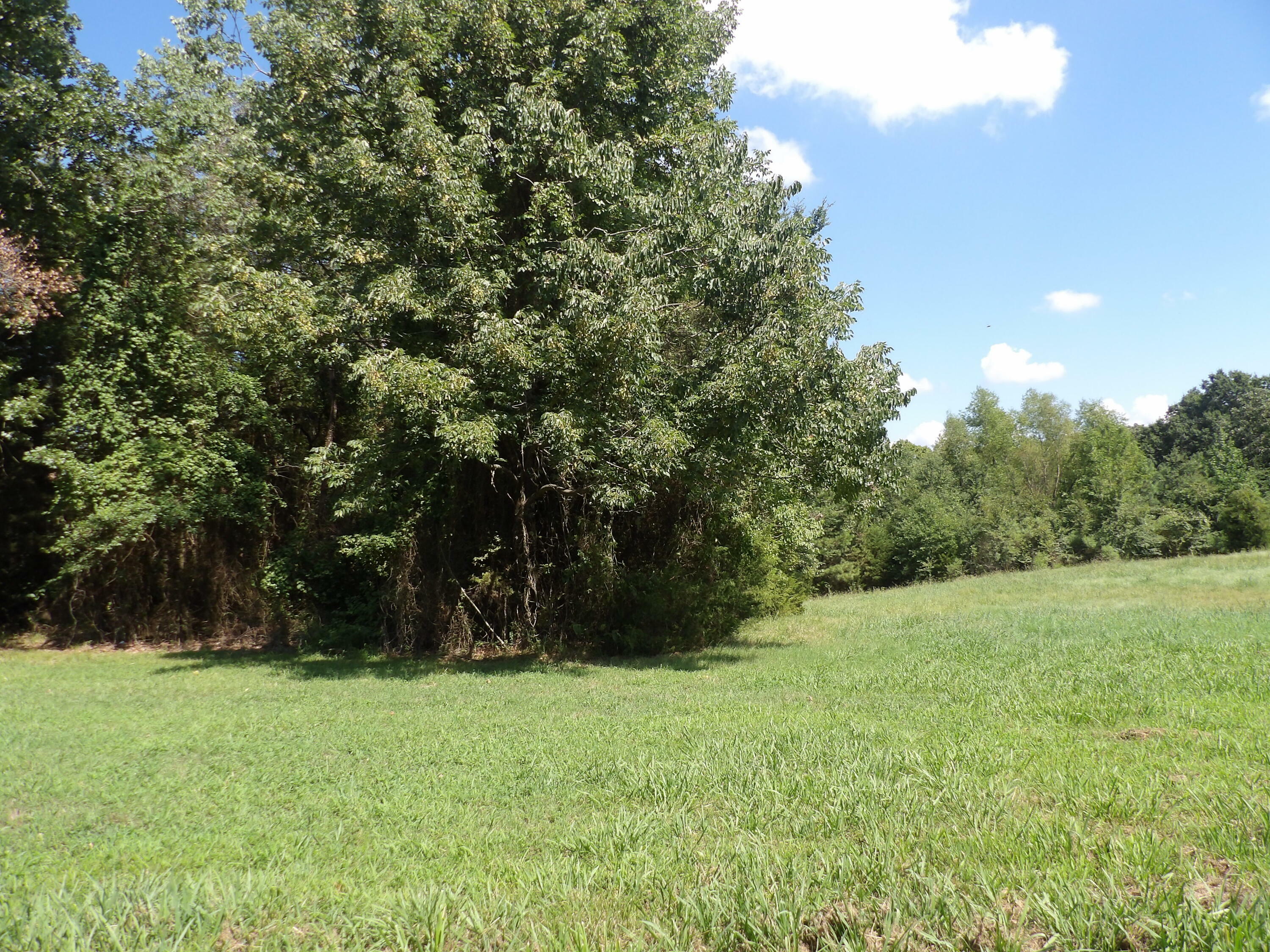 Property Photo:  Lot 40 Pittsburg Landing Estates  AR 72845 