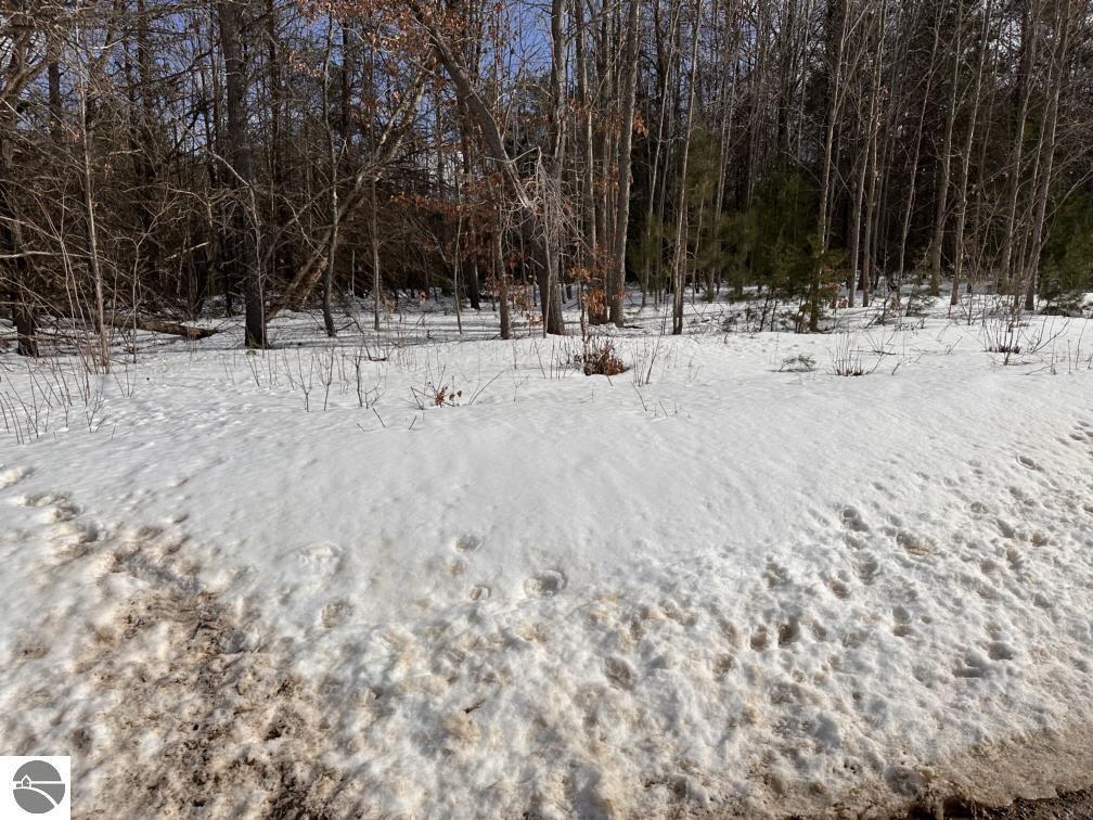 Lot D Riley Road  Interlochen MI 49643 photo