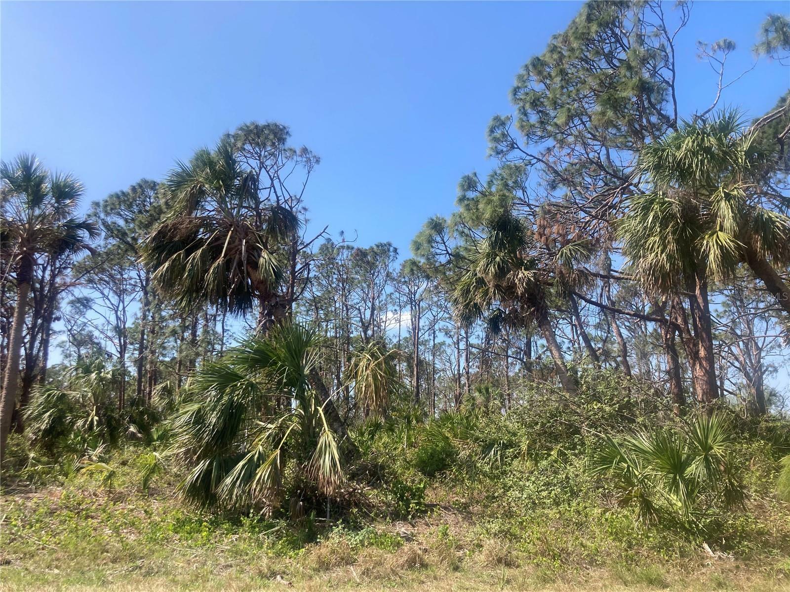 Property Photo:  355 McDill Drive  FL 33953 