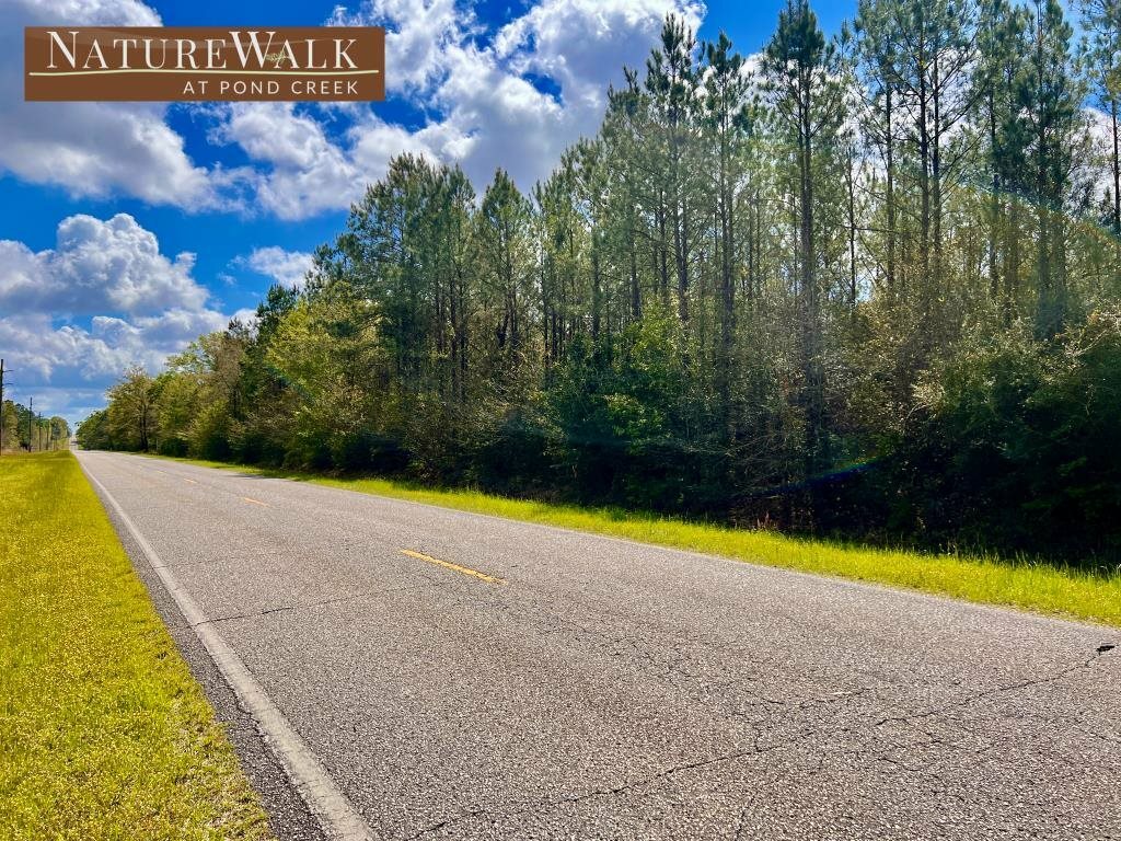 Property Photo:  Lot 3 Nature Walk Rd  FL 32565 