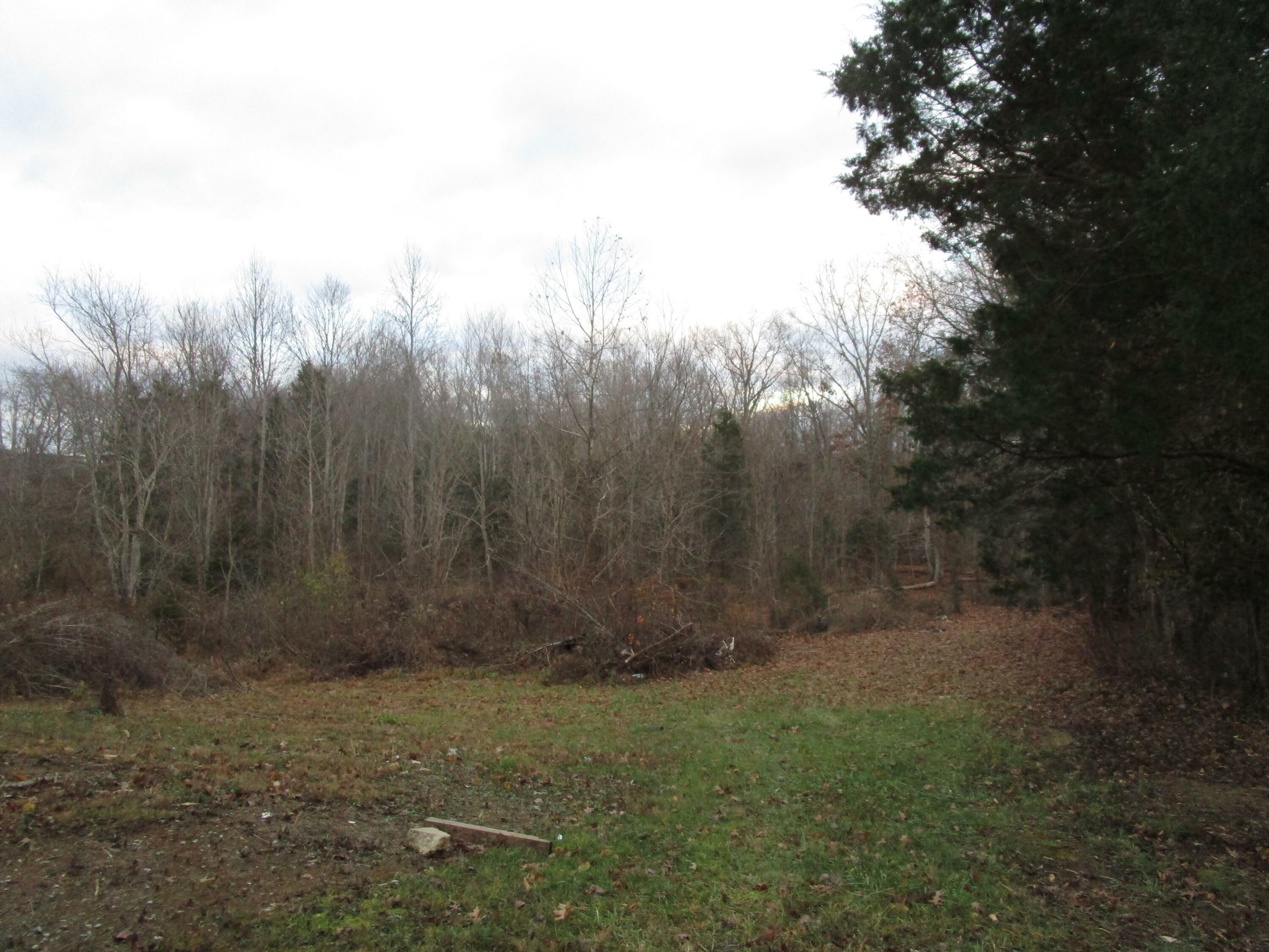 Property Photo:  3918 Highway 11E  TN 37681 