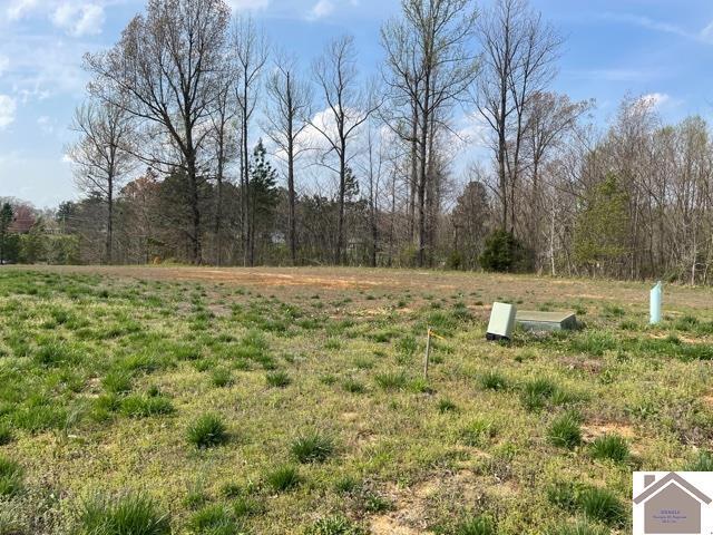 Property Photo: 125 Low Ridge Lane KY 42003