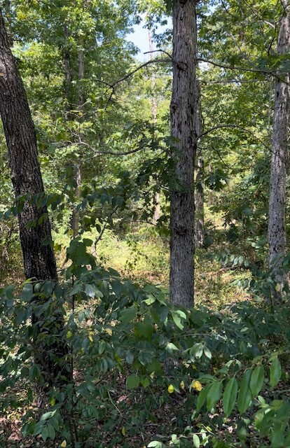 Property Photo:  Rillington Drive  AR 72714 