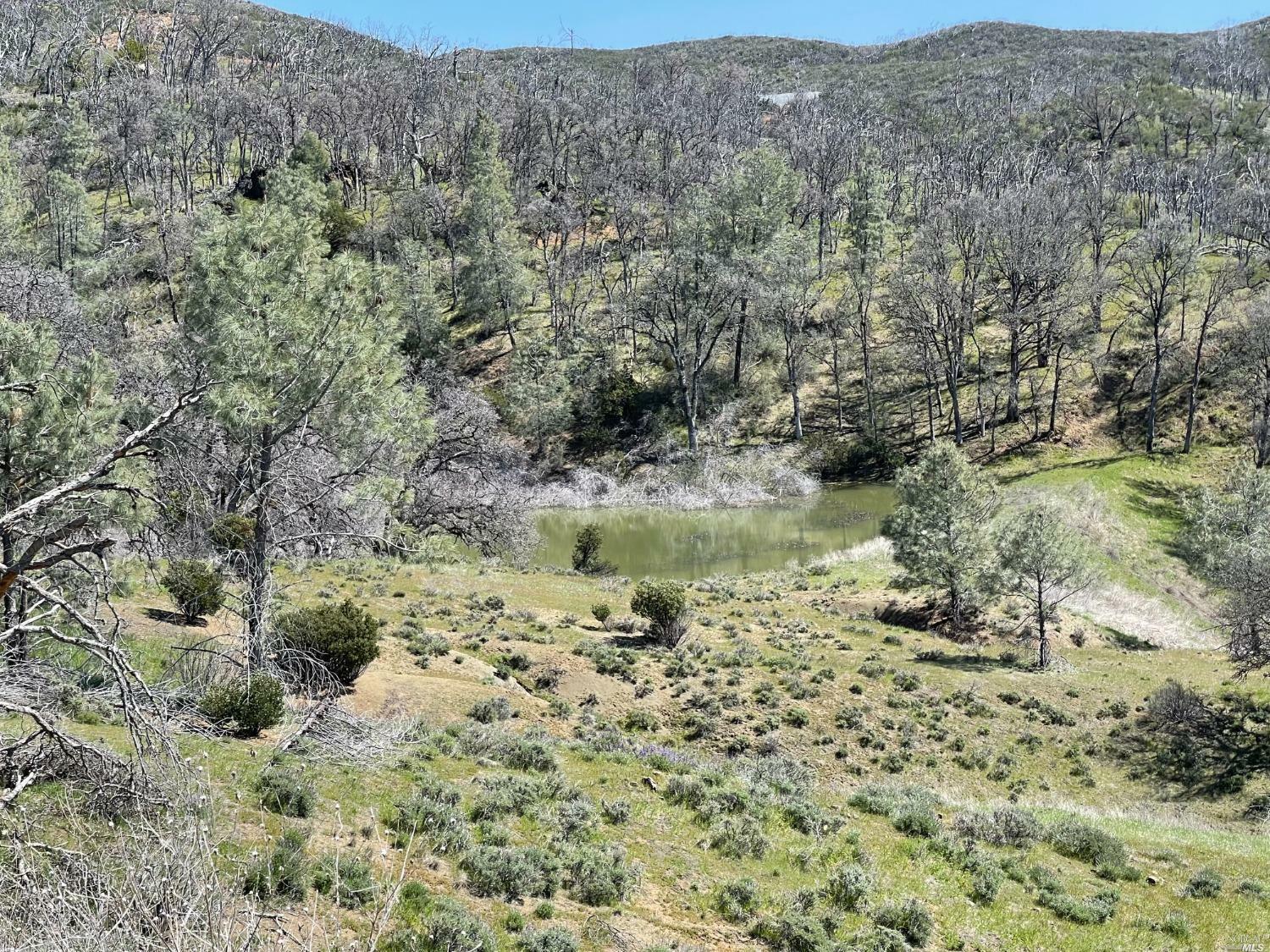 Property Photo:  9650 Rocky Creek Road  CA 95457 