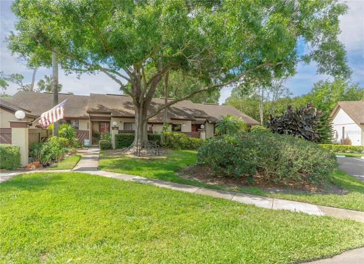 Property Photo:  2907 Boxwood Court  FL 34684 