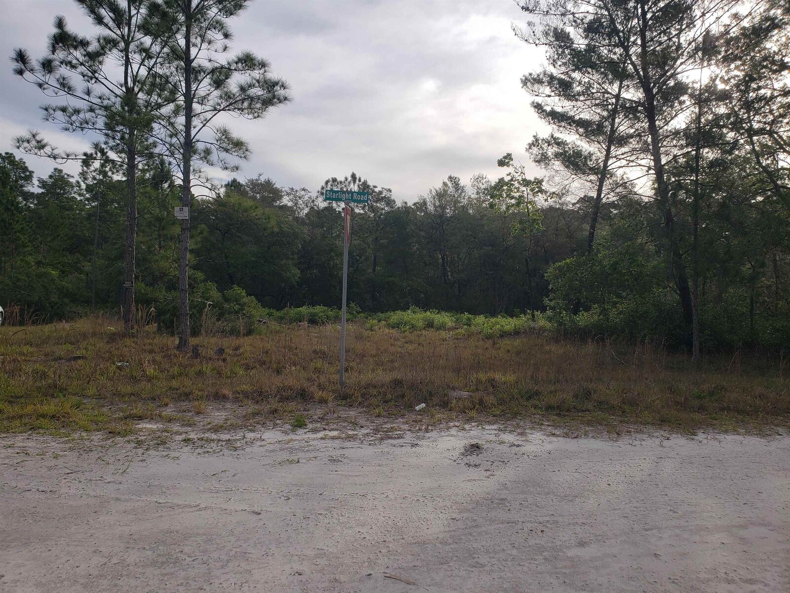 Property Photo: 117 Moon Lake Dr FL 32112