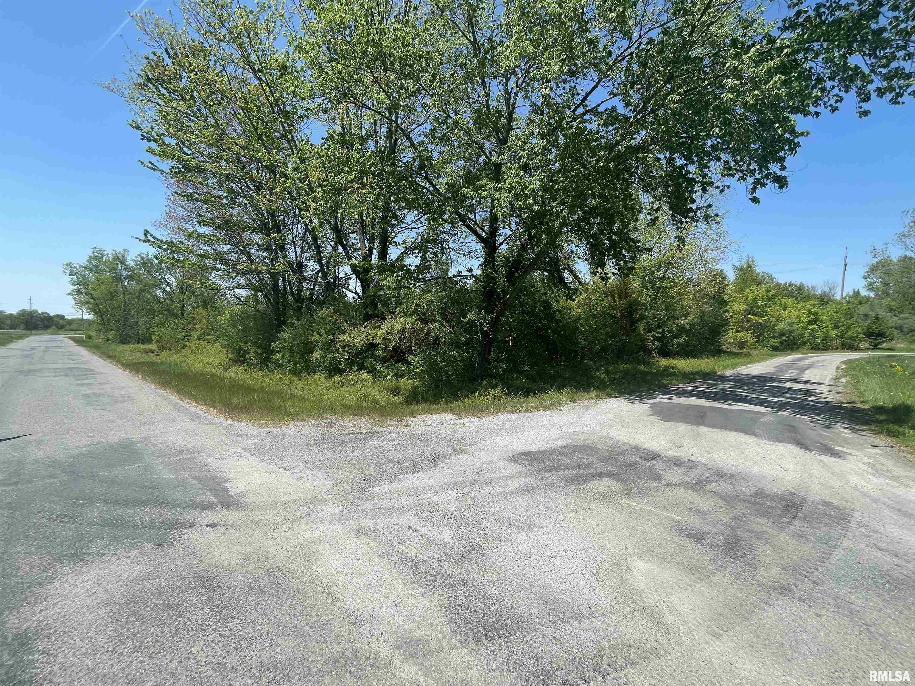 Property Photo: Tbd San Diego Street IL 62901