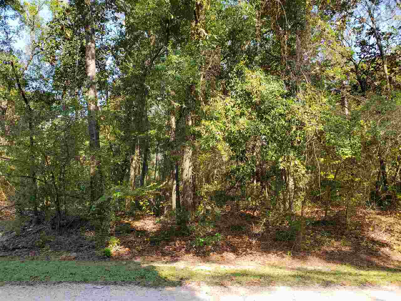 Property Photo:  0 Parramore Shores Road  FL 32310 