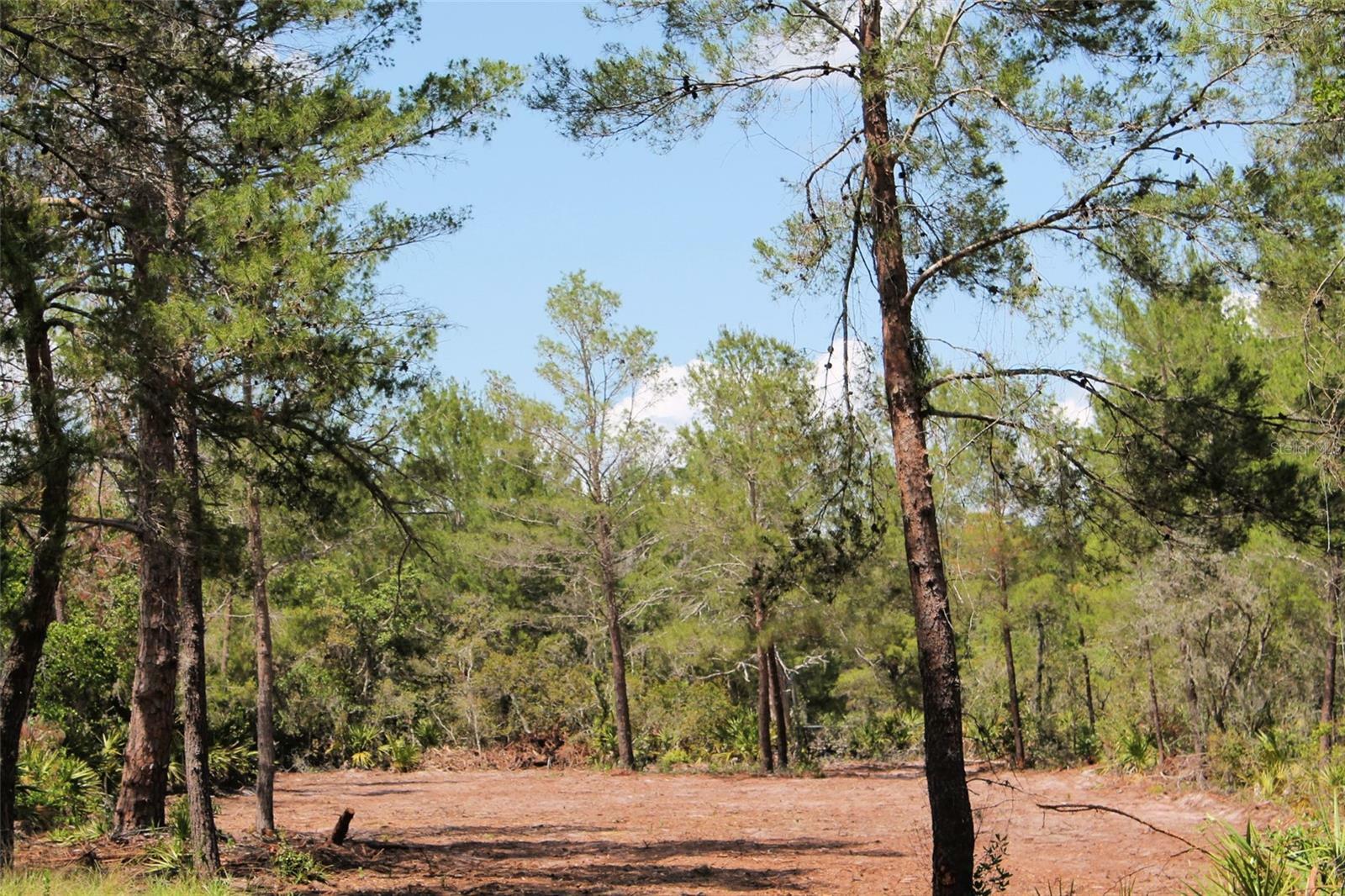 Property Photo: Camp Mack Road FL 33898