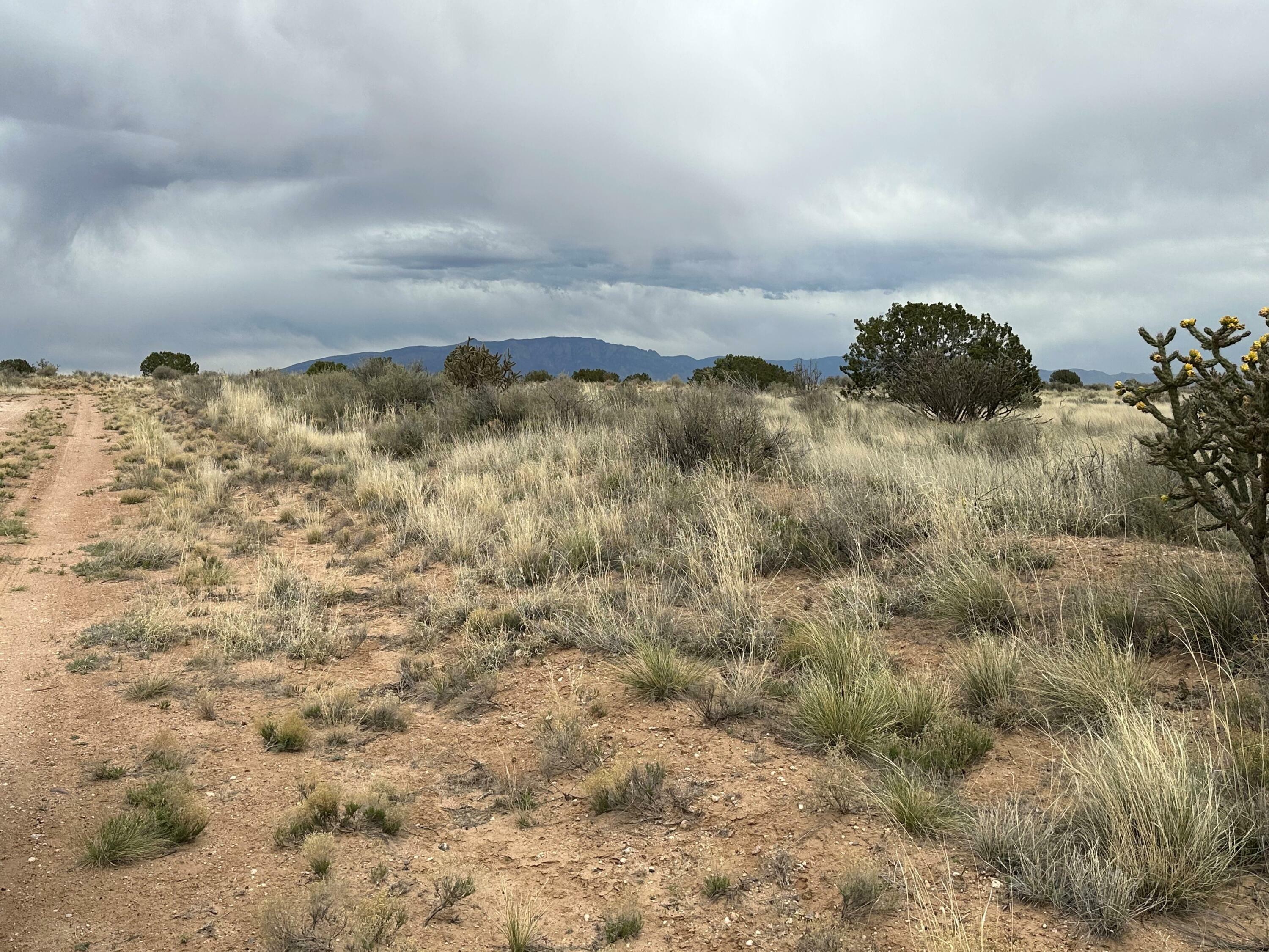 Property Photo:  Lot 21 26th Avenue NW  NM 87144 