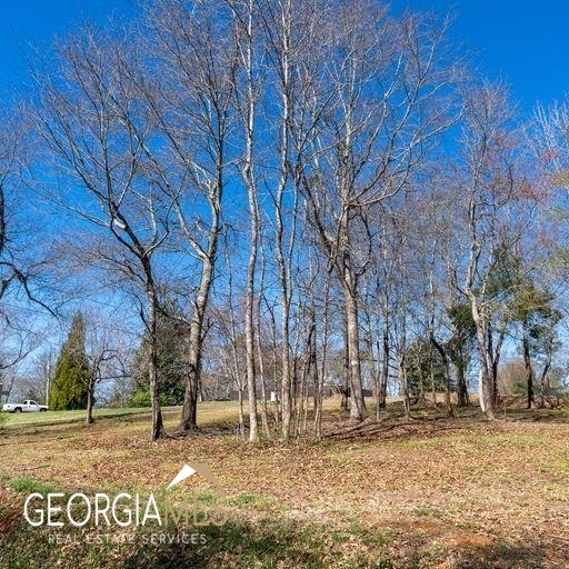 Property Photo:  0 Lacount Lane  GA 30523 