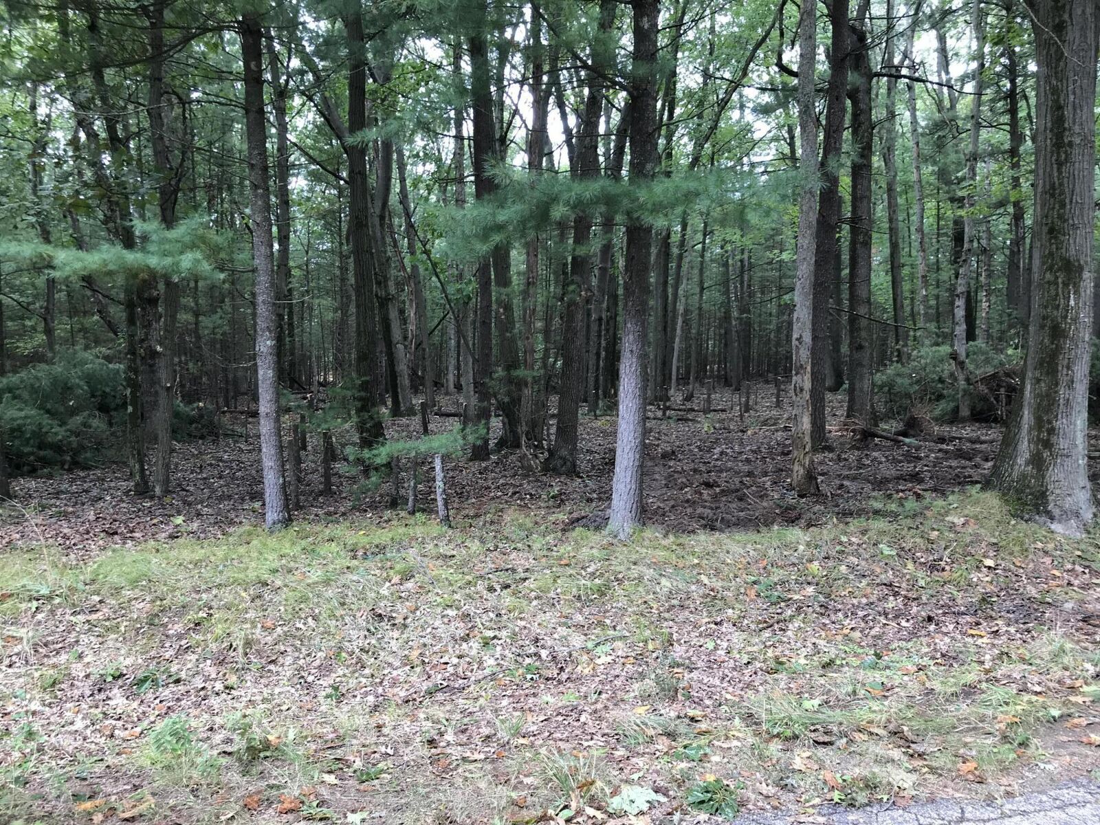 Property Photo: Timber Ridge Drive MI 49660