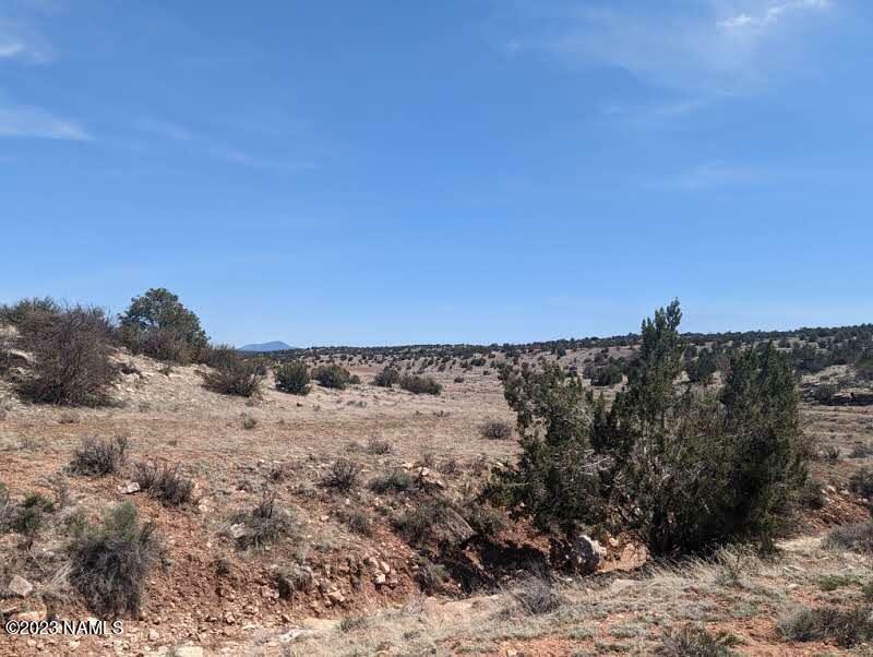 Property Photo:  6443 Black Burro Lot C - 14 Ac Loop Lot C  AZ 86046 