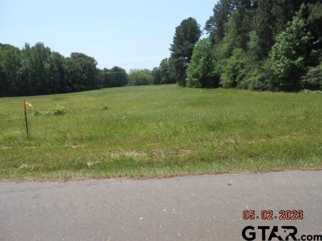 Property Photo:  Lot 1 & 2 9.4ac Cr 216 & Cr 217  TX 75652 
