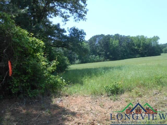 Property Photo:  Lot 5 5.287 Ac Cr 217  TX 75652 