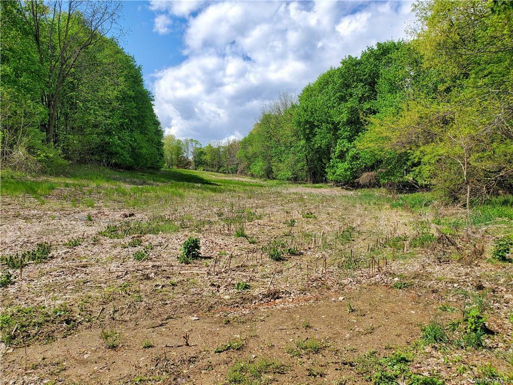 Property Photo: 0 State Route 94 S NY 10990