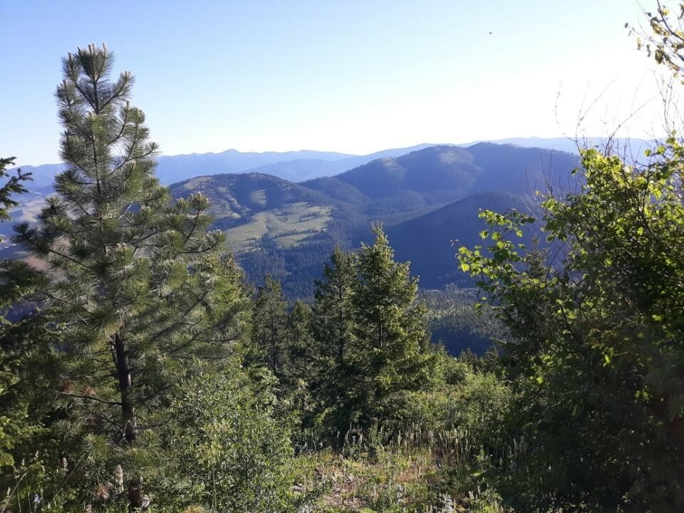 Property Photo:  Nhn-Tract 1 Larch Camp Road  MT 59803 