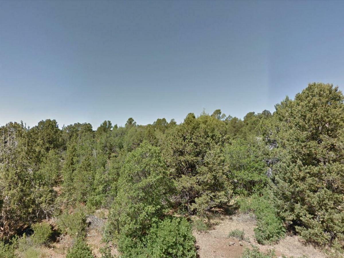 Property Photo:  Zion Hunting Est Blk 2 Lot 38  UT 84762 