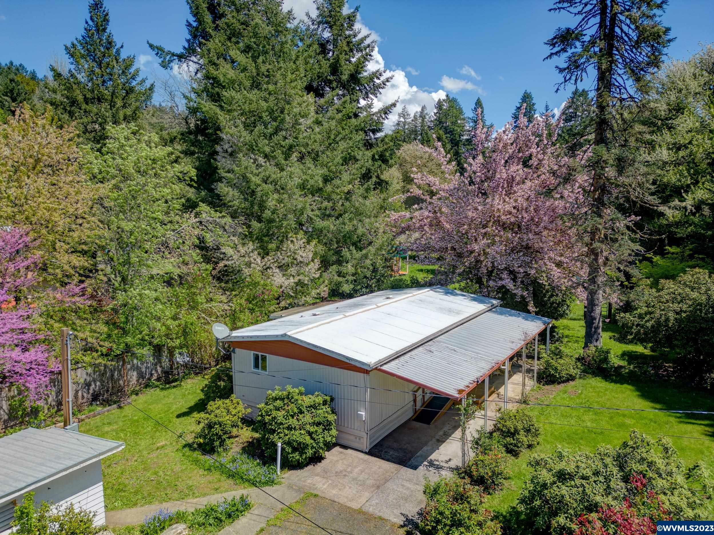 42891  McKenzie Hwy  Leaburg OR 97489 photo
