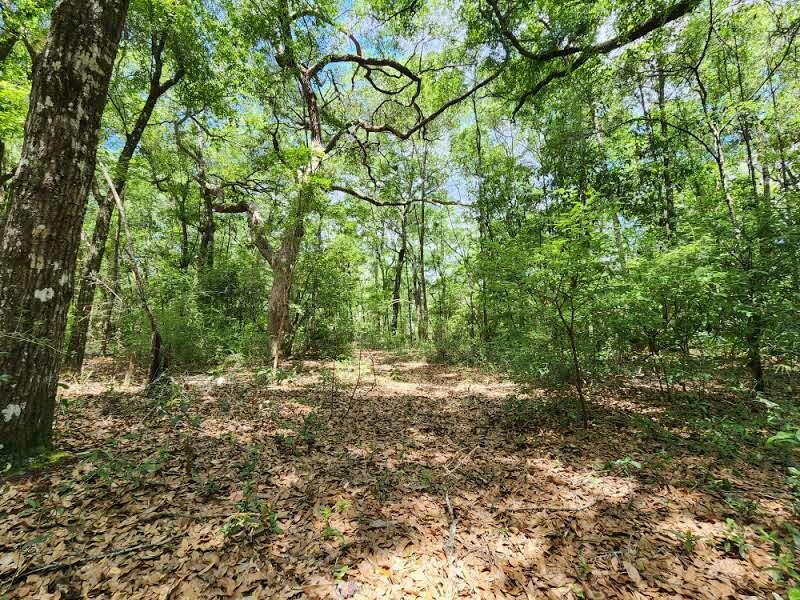 Property Photo:  Lot X Old Jolly Bay Road  FL 32439 