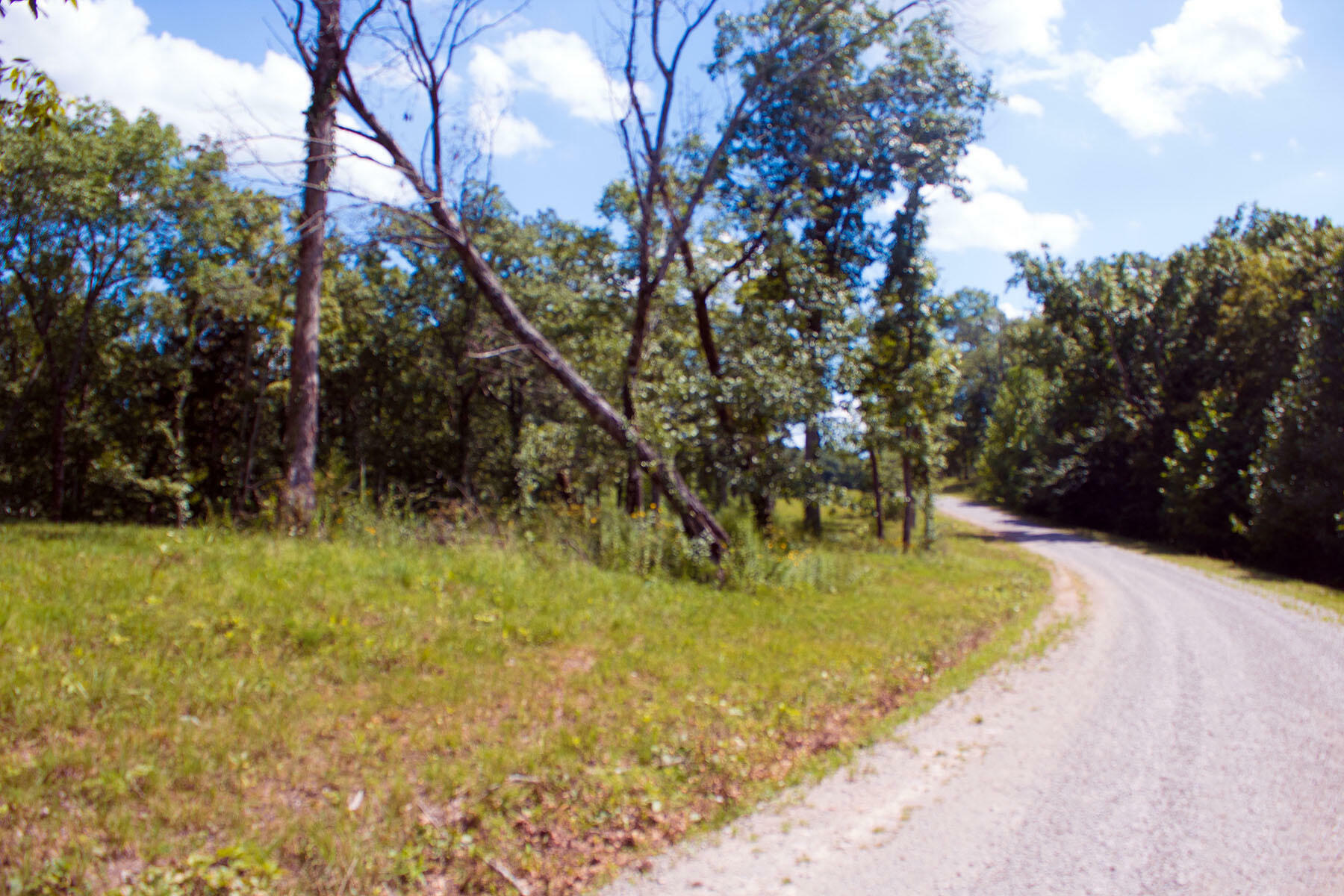 Property Photo:  Lot 59 Cumberland Shores  KY 42633 