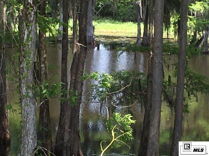 Property Photo: 9064 Desiard Trace LA 71280