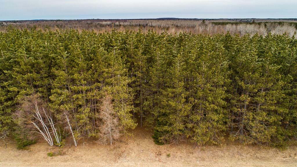 Lot 3 Moose Lake Road  Hayward WI 54843 photo