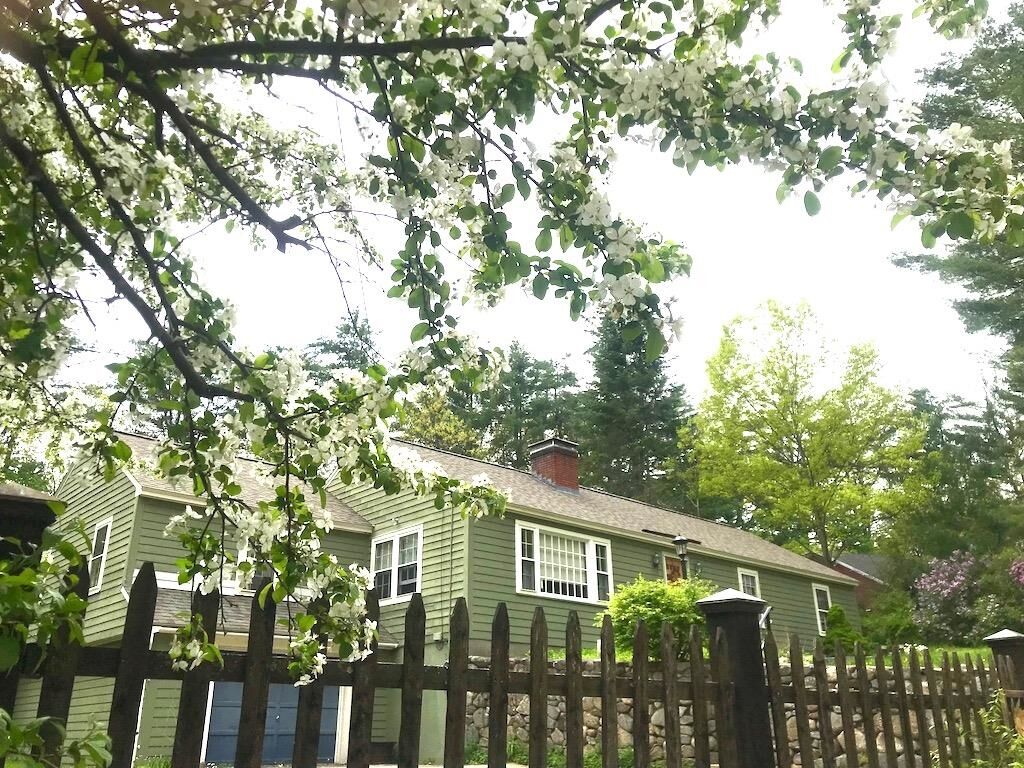 Property Photo:  20 Laurel Street  NH 03458-1436 