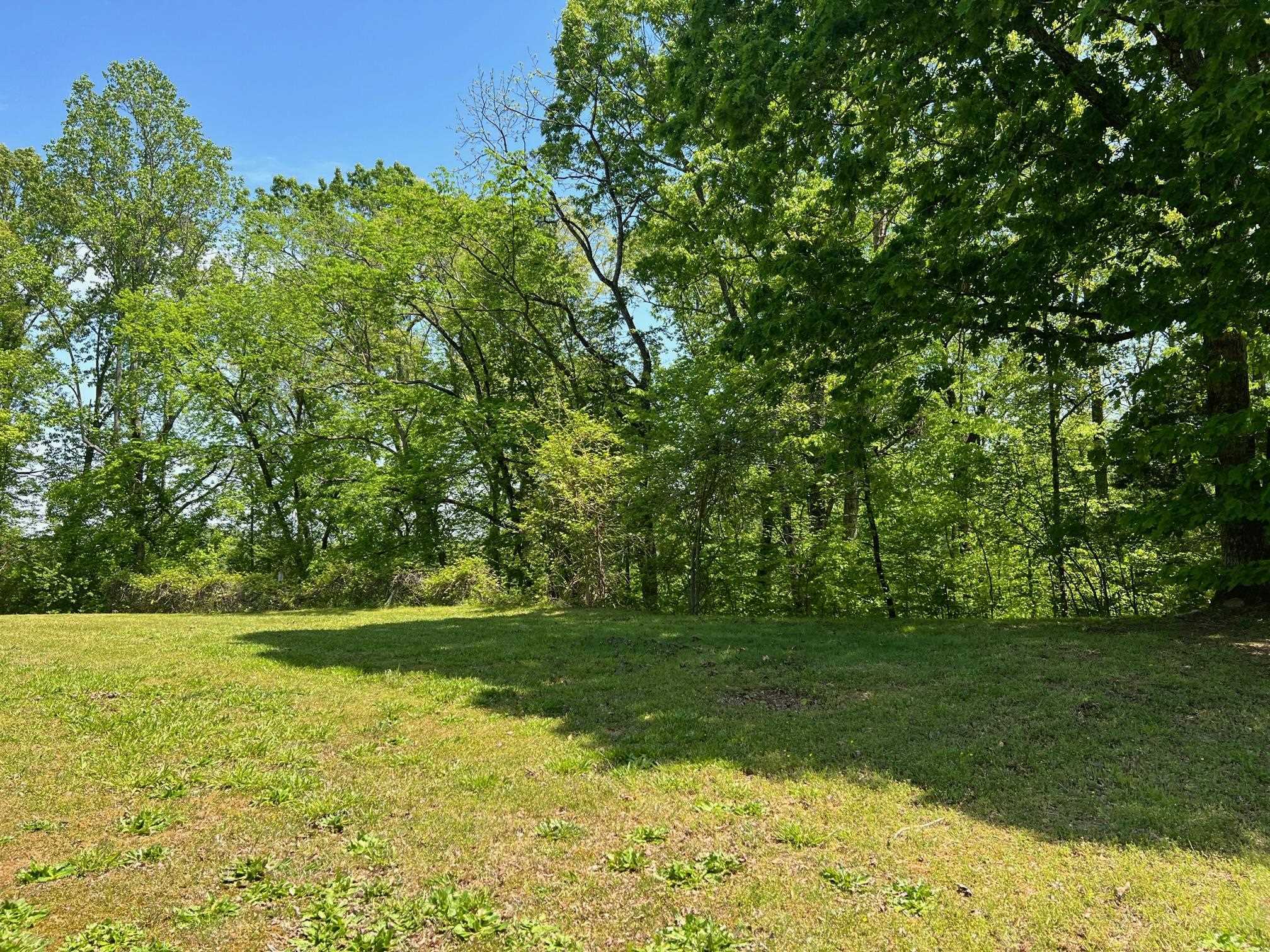 Property Photo:  0 Burning Tree Cove  TN 38305 