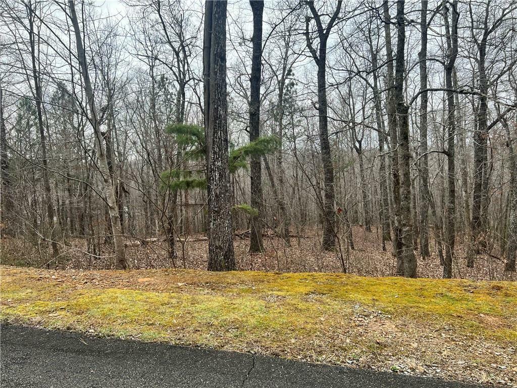 Property Photo: 0 Harris Creek Drive GA 30540