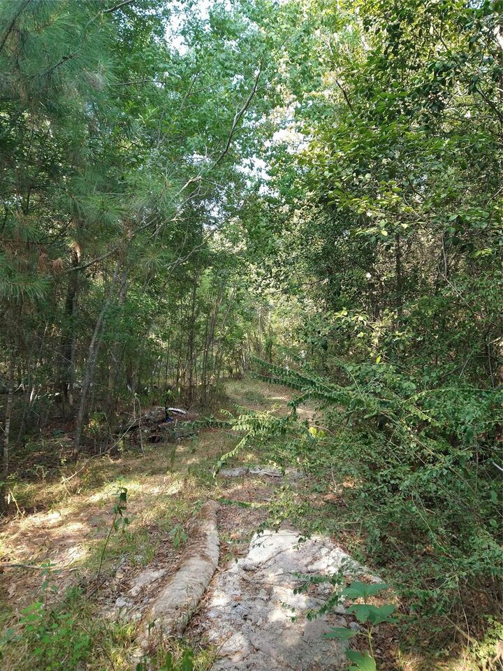 Property Photo:  986 County Road 325  TX 77327 