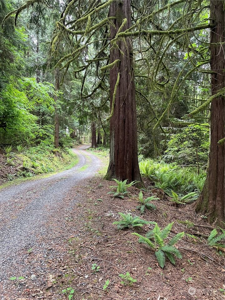 Property Photo: 251 Lot 007 Woods Creek Road WA 98290