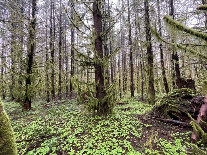 Property Photo:  0  Green Mt Road  WA 98674 