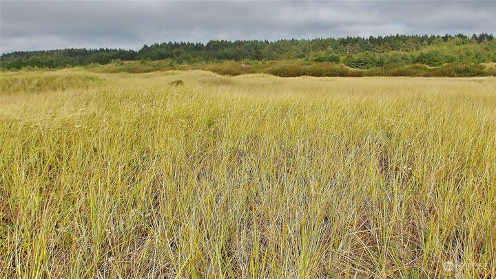 Property Photo: 0 Lot 1 State Route 109 WA 98535