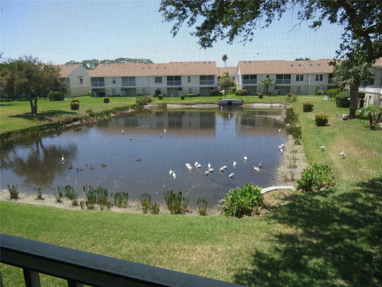 Property Photo:  12310 Sun Vista Court E 93  FL 33706 