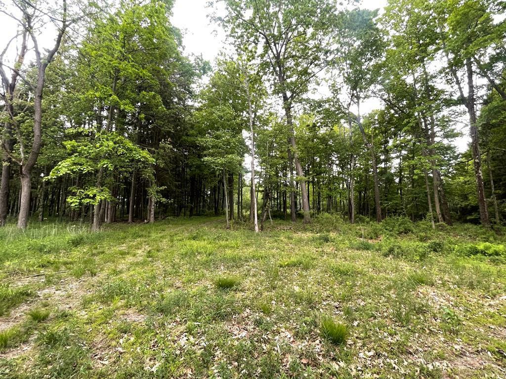 Property Photo:  Lot 3 Kerrick Hill Rd  PA 18848 