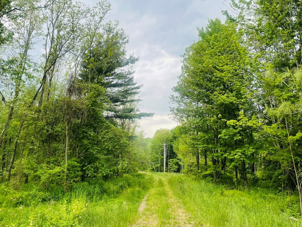 Property Photo:  Lot 2 Kerrick Hill Rd  PA 18848 