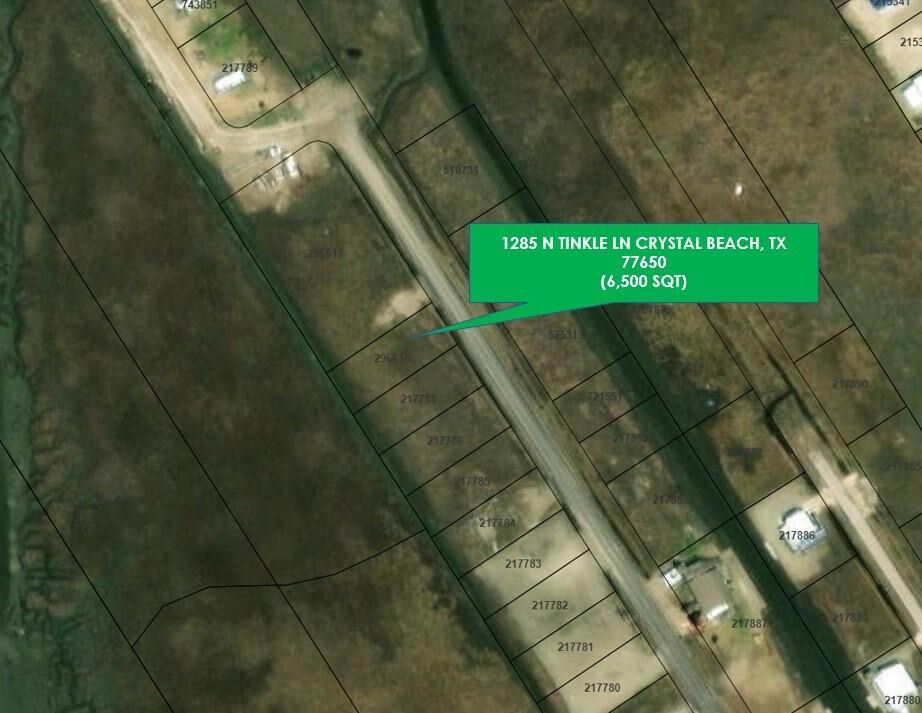 Property Photo:  1285 N Tinkle Lane  TX 77650 