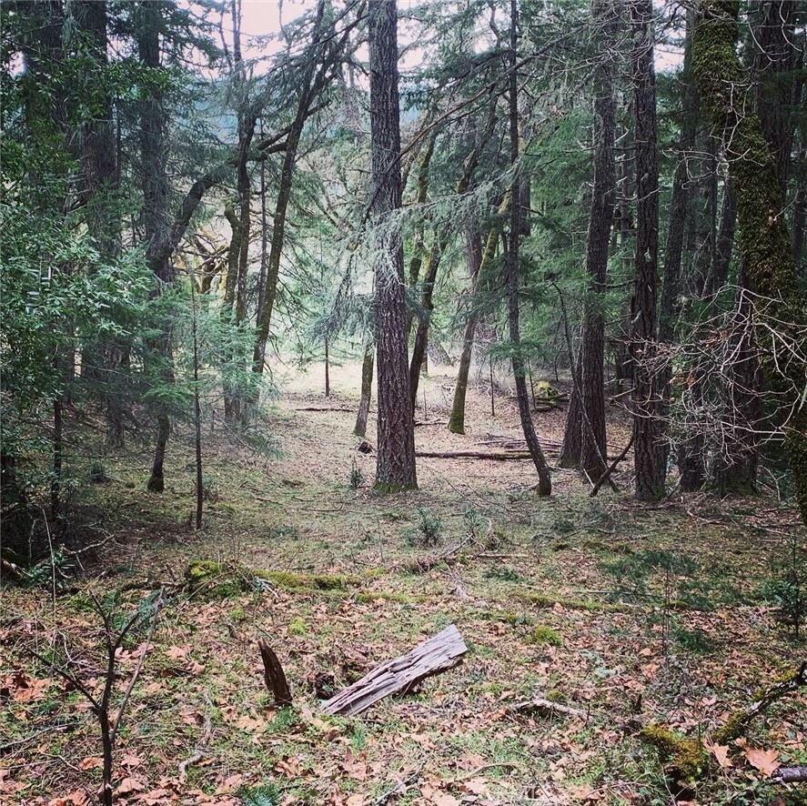 Property Photo:  31797 State Highway 36  CA 95526 