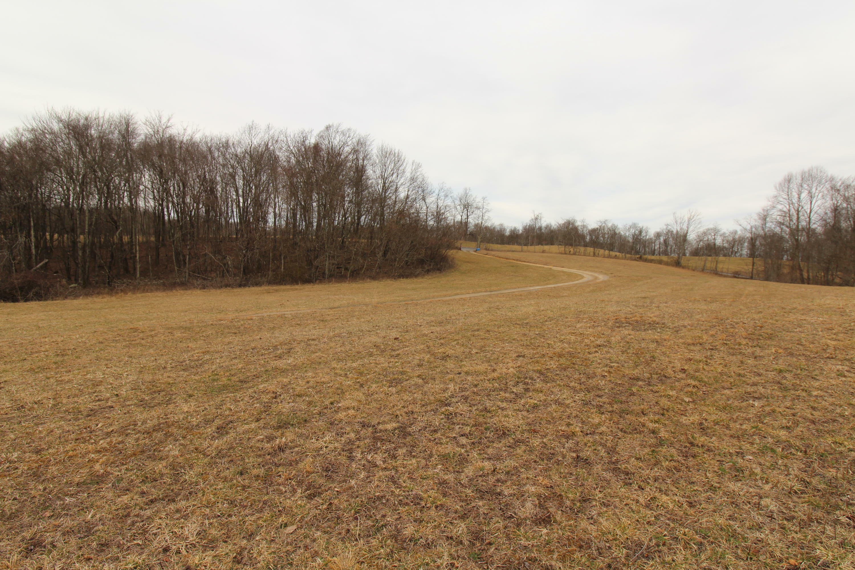 Property Photo:  1357 Chestnut Mountain Rd  WV 25951 