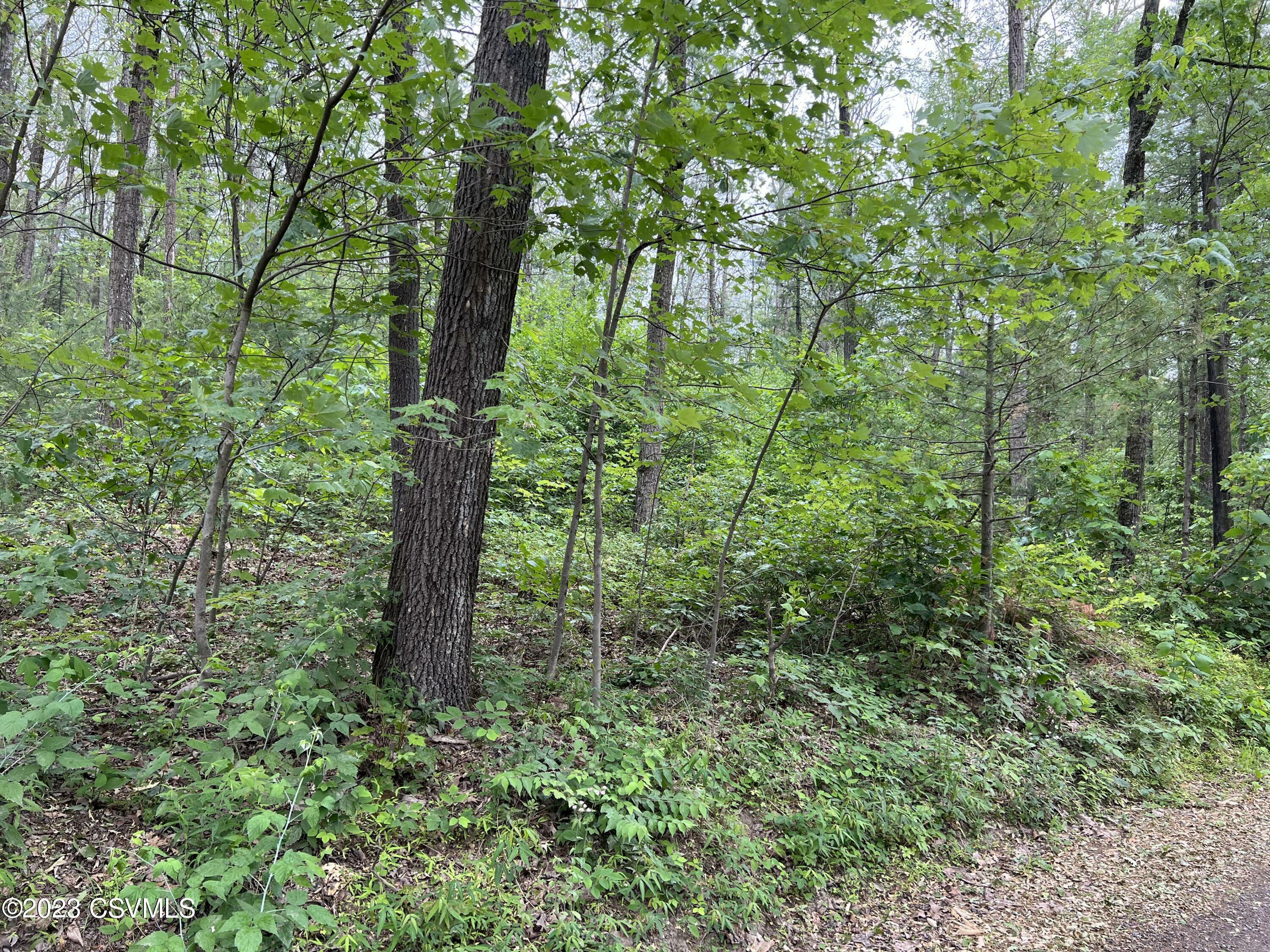 Property Photo:  Nittany Mountain Road  PA 17856 