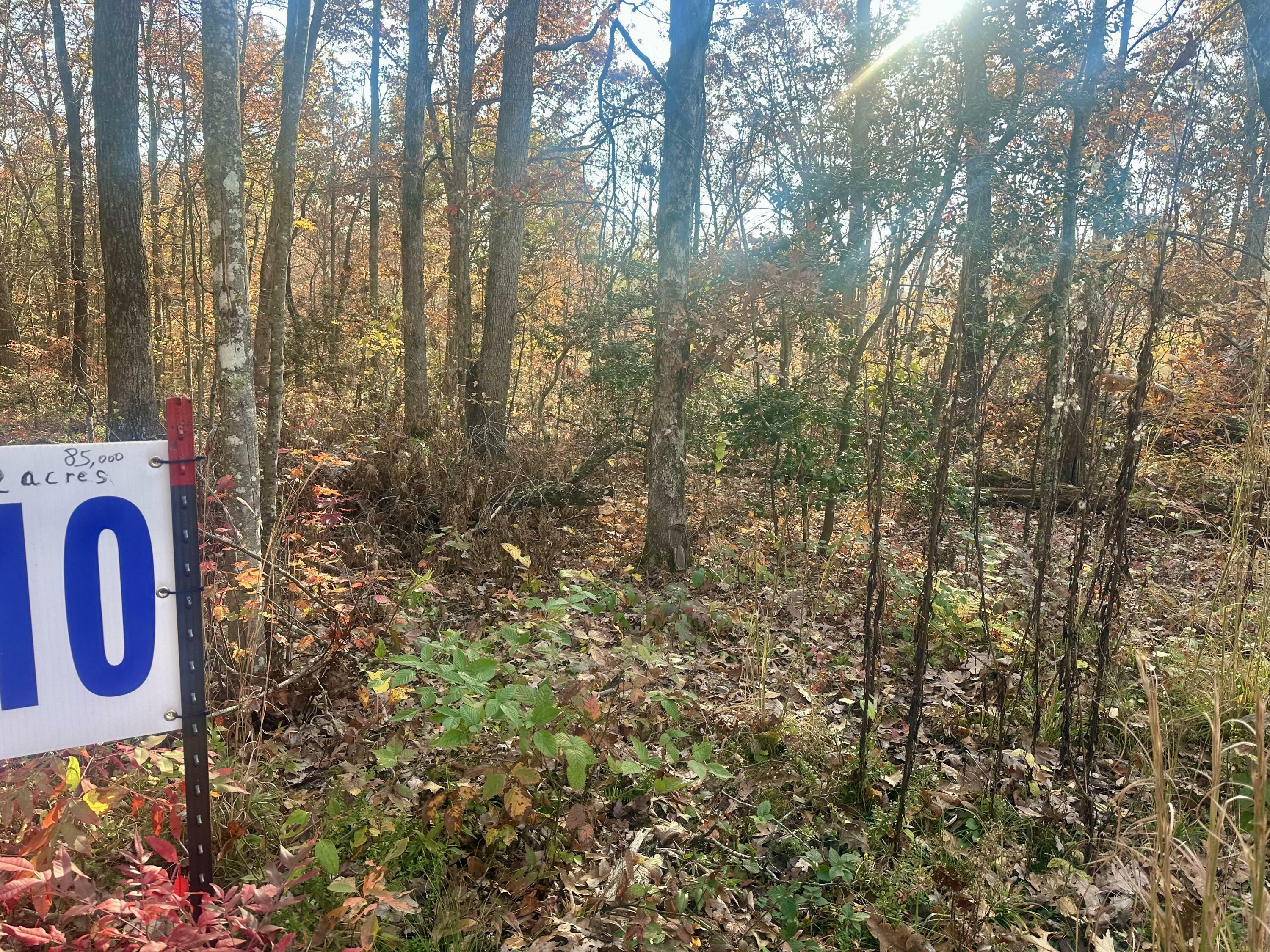 Property Photo:  Tract 10 Bozeman Road  KY 40701 