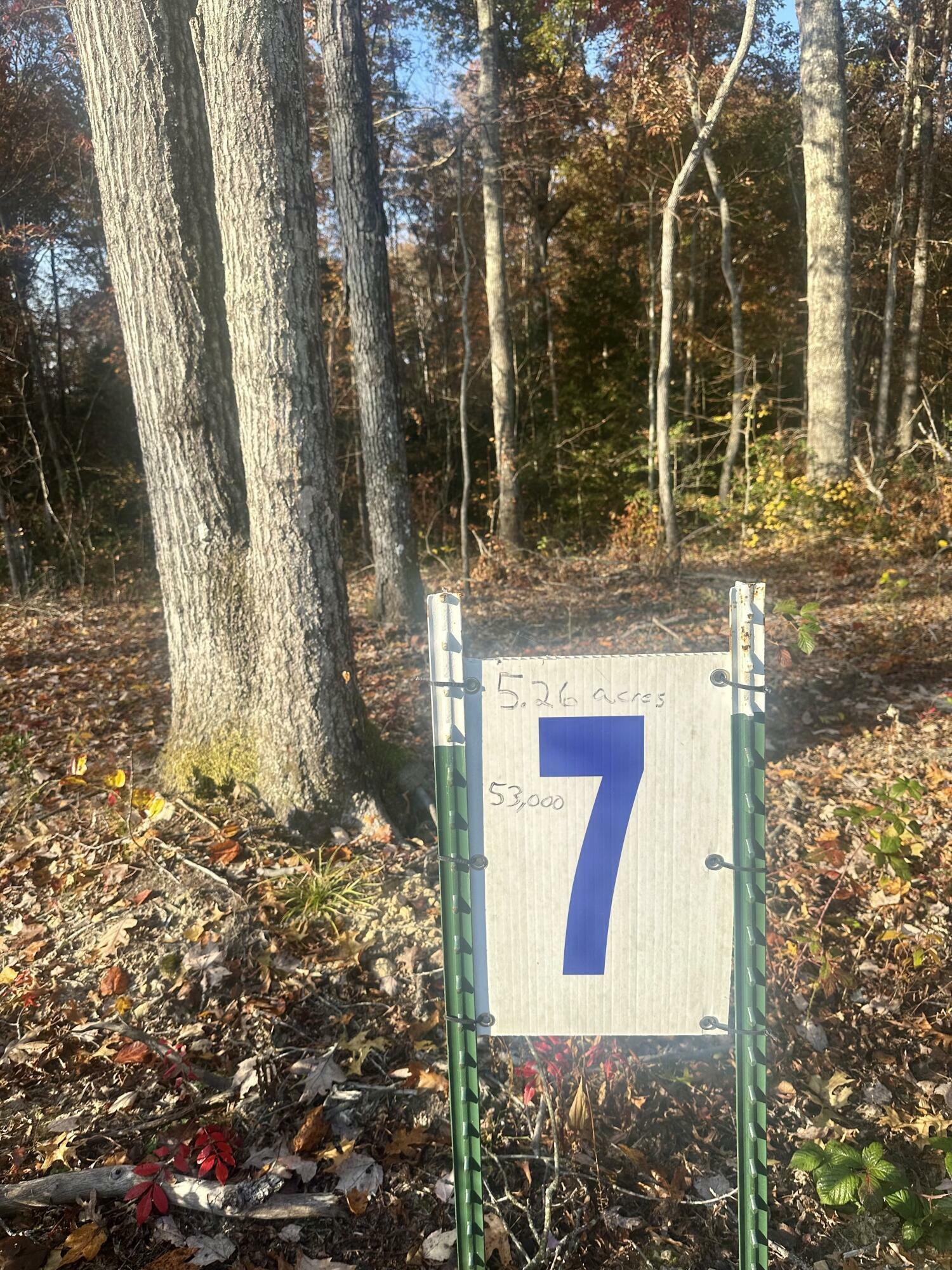 Property Photo:  Tract 7 Bozeman Road  KY 40701 