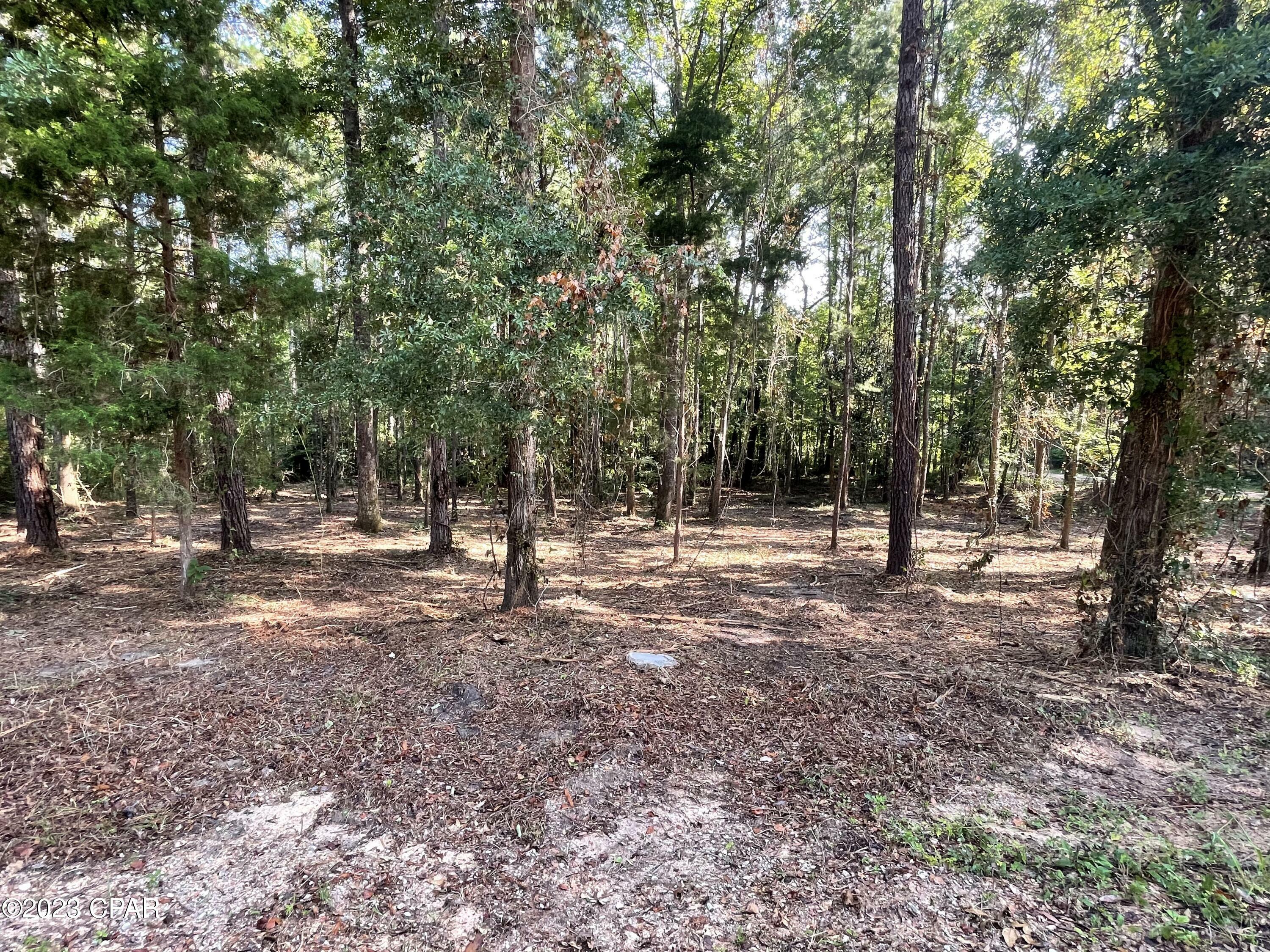 Property Photo:  00 Keenkutter Road  FL 32462 