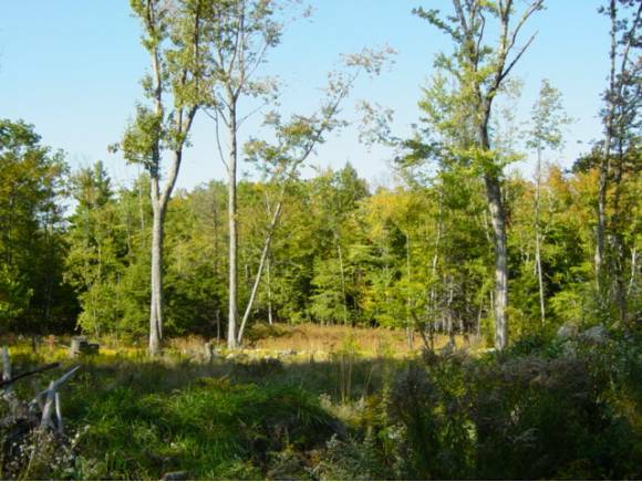Property Photo: Lot 21-4 Durgin Road NH 03258
