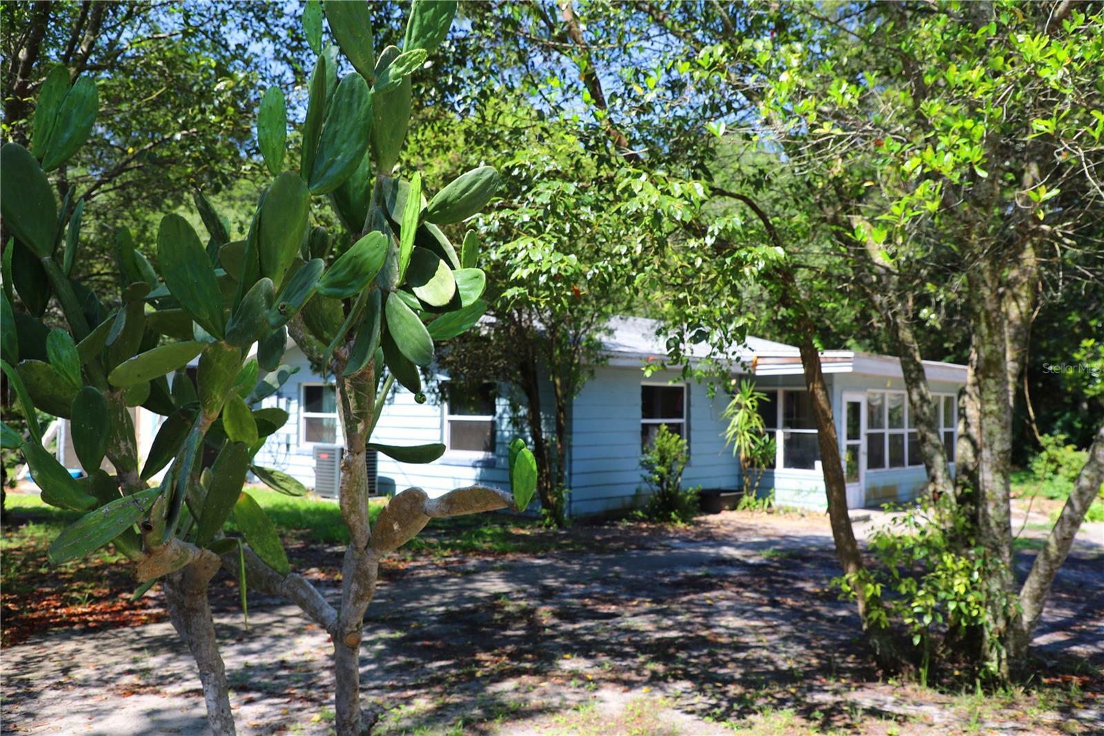 Property Photo:  27720 Jean Avenue  FL 32767 