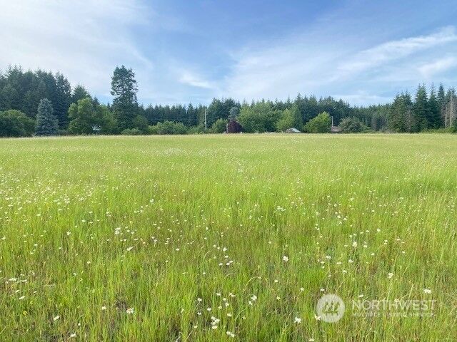 Property Photo: 0 Lot 2 Stearns Road WA 98532