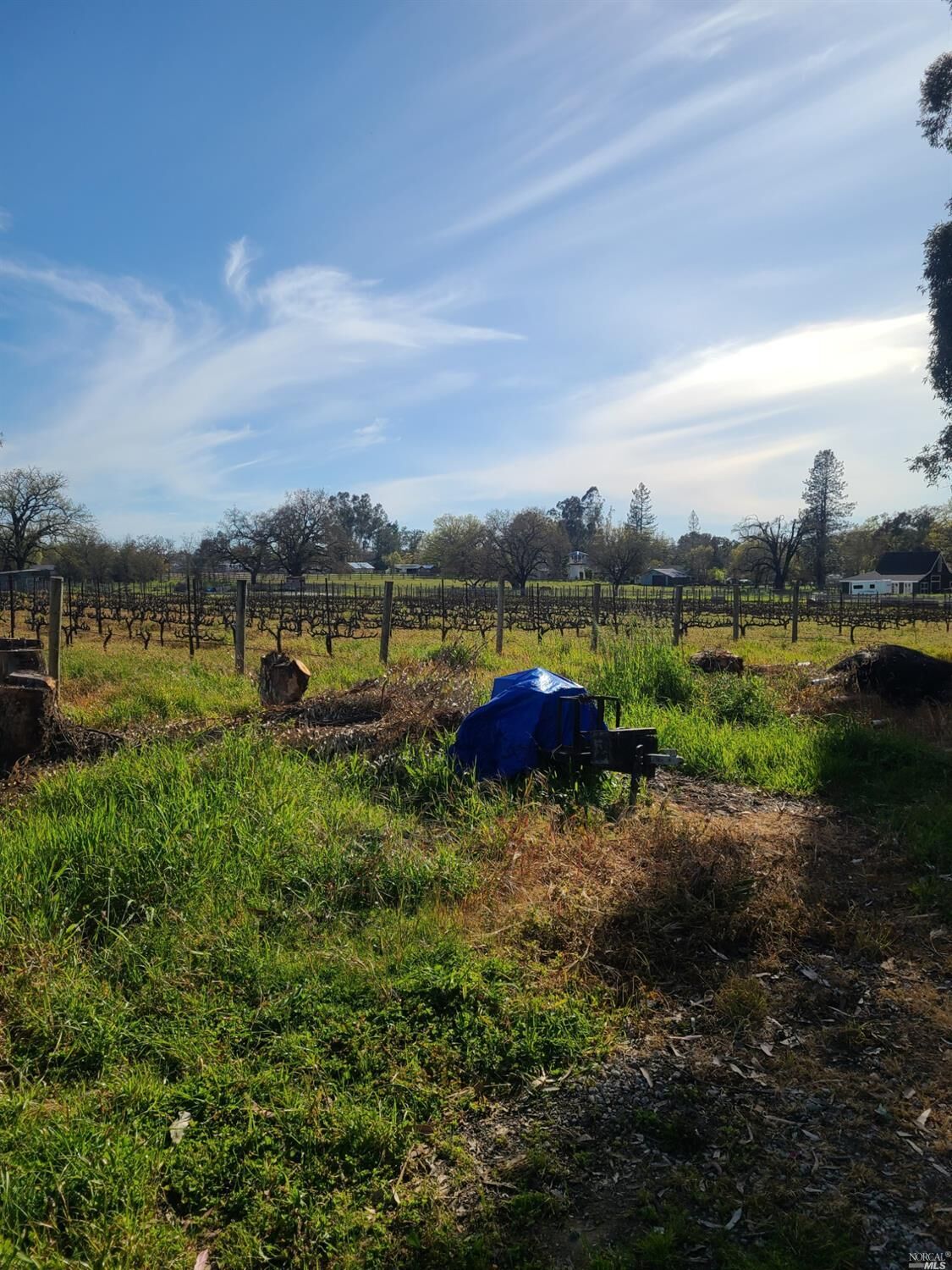 Property Photo:  1810 Reiman Lane  CA 95492 