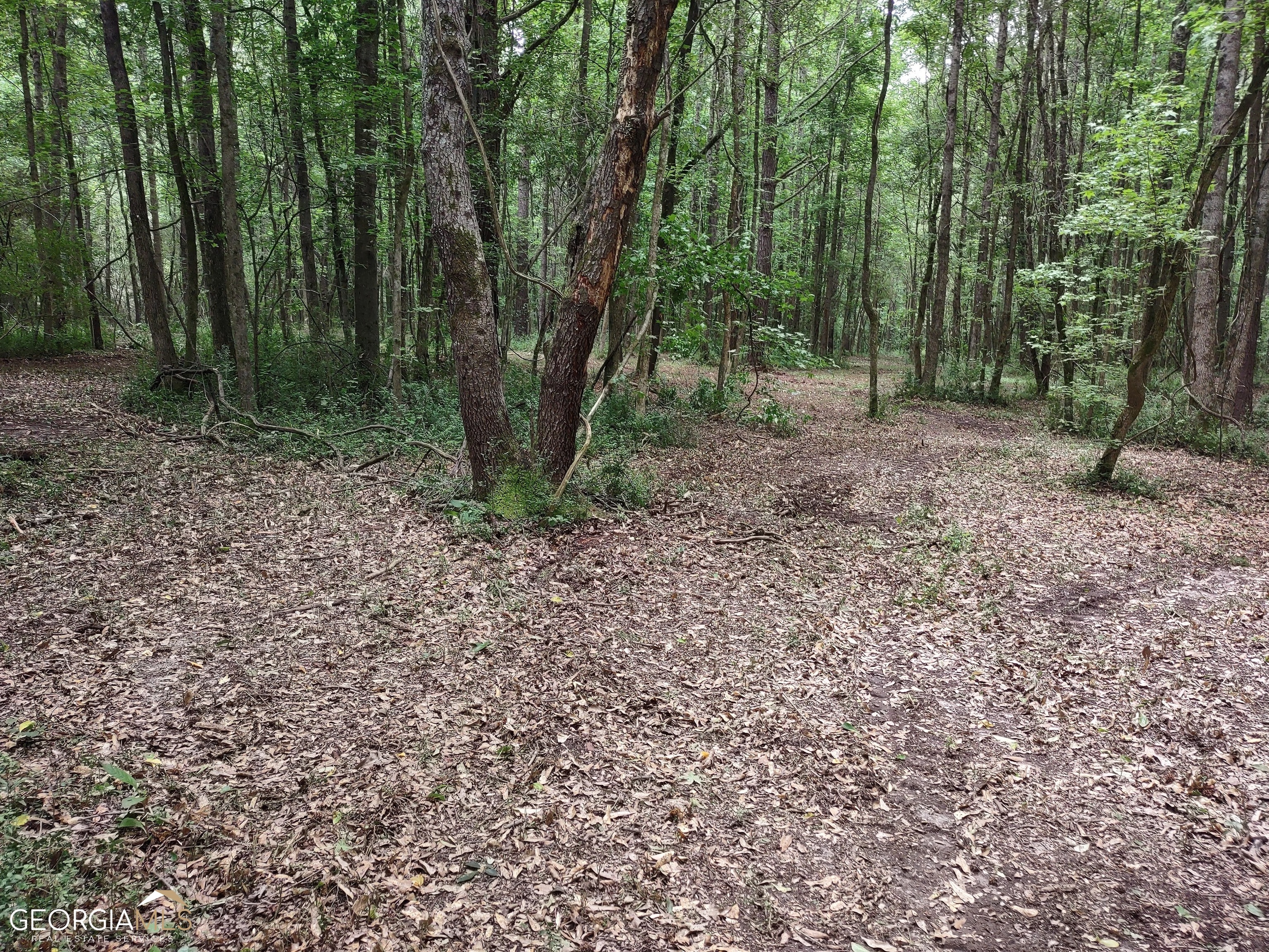 Property Photo:  Lot 2 Coatsworth Drive  GA 30281 