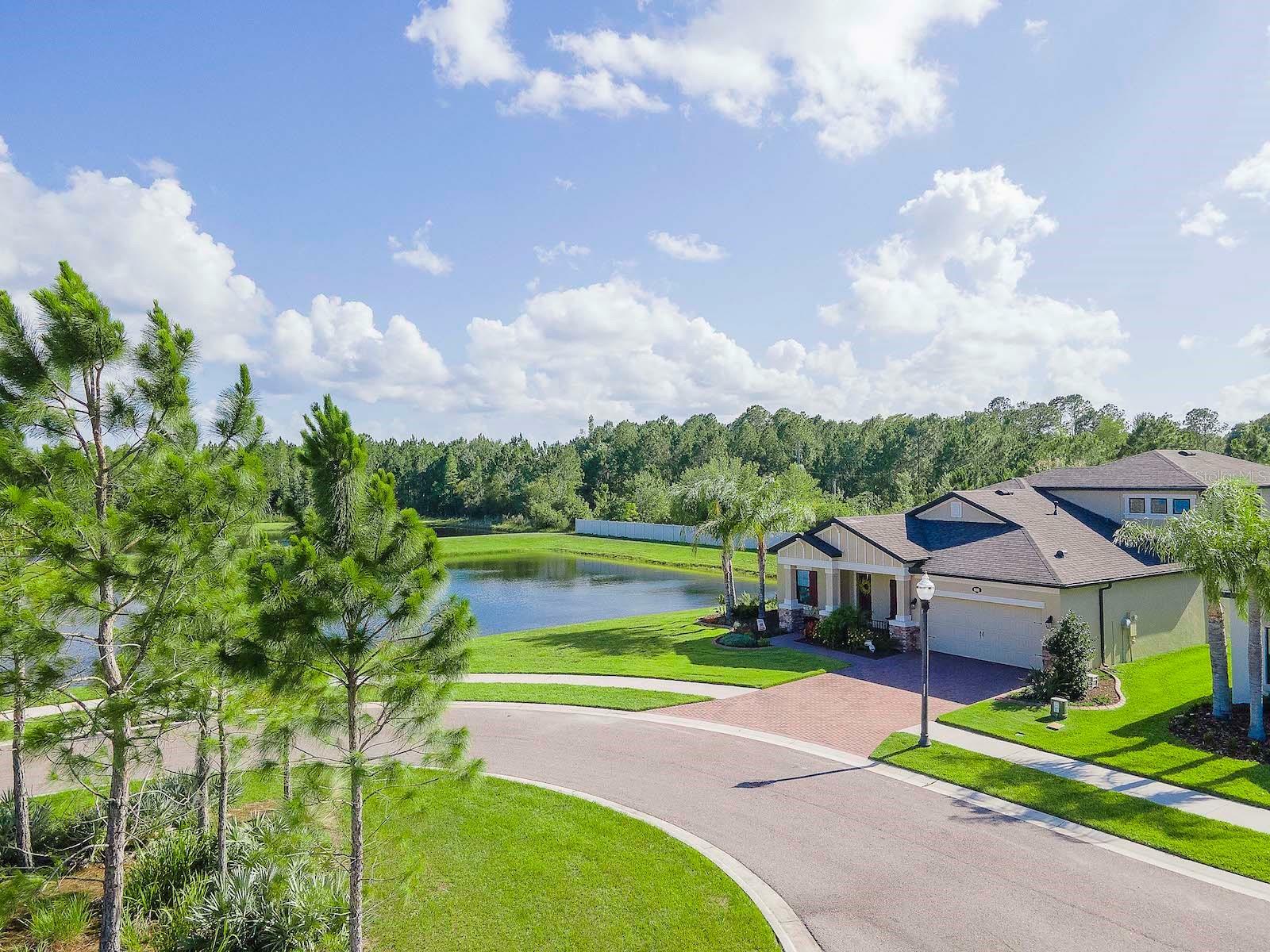 Property Photo:  18101 Roseate Drive  FL 33558 